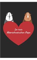 Der beste Meerschweinchen-Papa