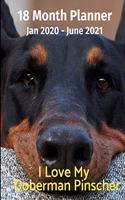 Jan 2020 - June 2021 18 Month Planner: I Love My Doberman Pinscher