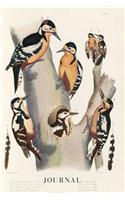 Journal: Woodpecker Vintage Bird Prints - Scientific Illustration - 120 Blank Lined 6x9 College Ruled Pages - Journal, Notebook, Diary, Composition Book