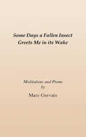 Some Days a Fallen Insect Greets Me in its Wake: Meditations and Poems