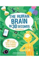 The Human Brain in 30 Seconds