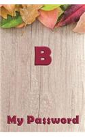 B My Password: Internet Password Organizer Diary Journal Notebook Logbook Size 6x9 Inches(2 Password Book)