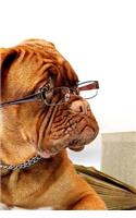 Dogue De Bordeaux Notebook: 150 lined pages, softcover, 6 x 9