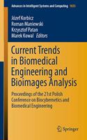 Current Trends in Biomedical Engineering and Bioimages Analysis: Proceedings of the 21st Polish Conference on Biocybernetics and Biomedical Engineering(1033 Advances in Intelligent Systems and Computing)