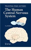 Human Central Nervous System