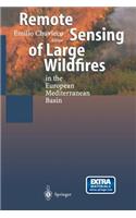 Remote Sensing of Large Wildfires