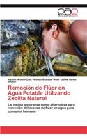 Remoción de Flúor en Agua Potable Utilizando Zeolita Natural