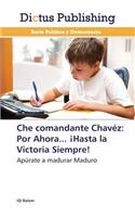 Che Comandante Chavez
