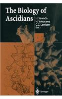 Biology of Ascidians