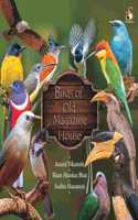 Birds of Old Magazine House