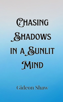 Chasing Shadows in a Sunlit Mind