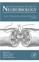 Essays on Peripheral Nerve Repair and Regeneration