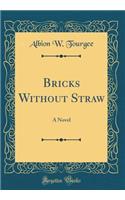 Bricks Without Straw: A Novel (Classic Reprint)