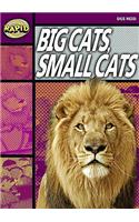 Rapid Reading: Big Cats Small Cats (Stage 1, Level 1A)