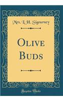 Olive Buds (Classic Reprint)