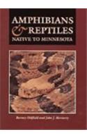 Amphibians and Reptiles Native to Minnesota