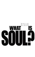 What Is Soul?