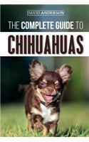 The Complete Guide to Chihuahuas: Finding, Raising, Training, Protecting, and Loving your new Chihuahua Puppy