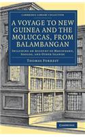 Voyage to New Guinea and the Moluccas, from Balambangan: Including an Account of Magindano, Sooloo, and Other Islands