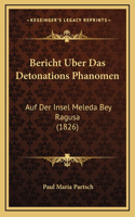 Bericht Uber Das Detonations Phanomen