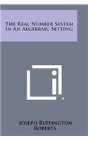Real Number System in an Algebraic Setting