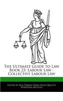 The Ultimate Guide to Law Book 23: Labour Law - Collective Labour Law(English)