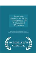 American Slavery as It Is