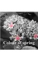 Colour of Spring 2017