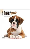 Boxer Puppies 2018 Mini Wall Calendar