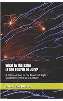 What to the Babe is the Fourth of July?: A Call to Action in the New Civil Rights Movement of the 21st Century