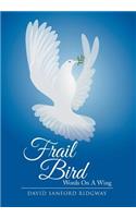 Frail Bird