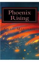 Phoenix Rising: A personal Communication