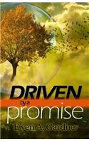 Driven by a Promise