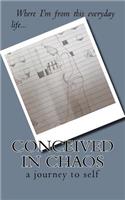 Conceived in Chaos