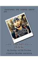 The Prosperity Book