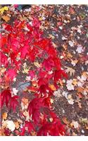 Journal Fall Foliage Red Japanese Maple Leaves