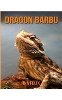 Dragon Barbu