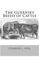 Guernsey Breed of Cattle
