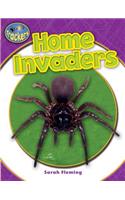 Home Invaders