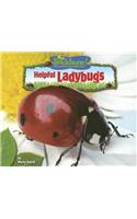 Helpful Ladybugs