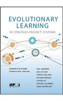 Evolutionary Learning in Strategy-Project Systems