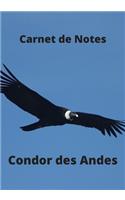 Carnet de Notes Condor des Andes