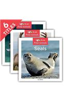 Polar Animals (Set)