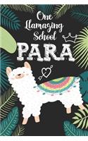 One llamazing School Para