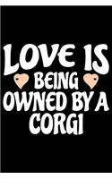 Love Is Being Owned By Corgi