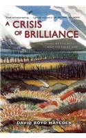 Crisis Of Brilliance