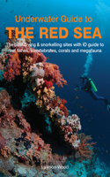 Underwater Guide to the Red Sea