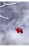 Frosty Red Berries on a Branch in the Winter Journal