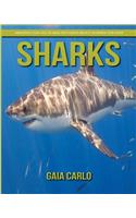 Sharks
