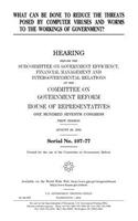 What Can Be Done to Reduce the Threats Posed by Computer Viruses and Worms to the Workings of Government?